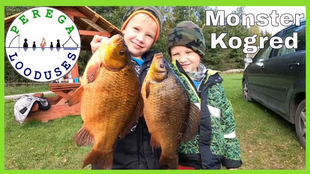 Raplamaa väikejärvel kalal