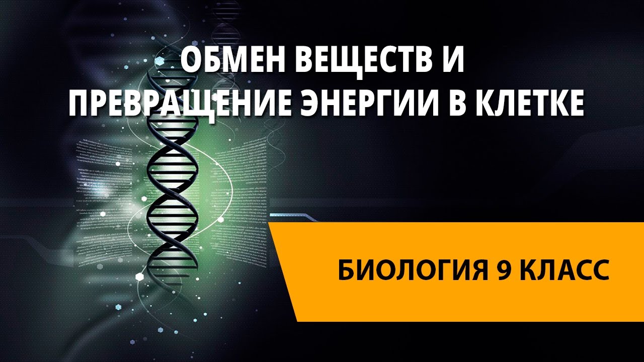 Обмен веществ и превращение энергии в клетке - YouTube