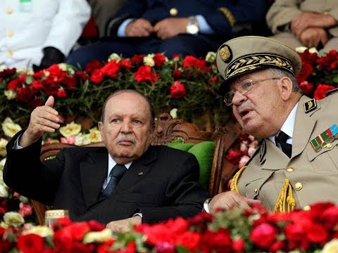 Algeria army chief