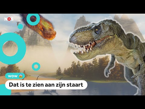 Video: Kon rex niet brullen?