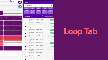 LOOP TAB - Navigating and Adding Loops