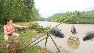 Unique Fishing: Smart girl Creating primitive traps with good results - Catch a lot of fish