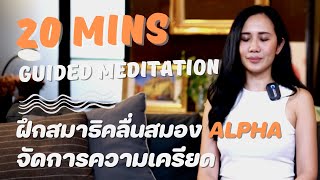 20 Mins Alpha Meditation l ฝึกสมาธิคลื่นสมอง ALPHA จัดการความเครียด l ครูแนน l ห้องเรียนความสุข