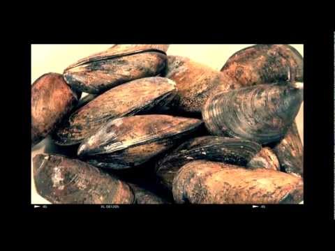 Old Fashioned Crab Boil - Nathan Lippy