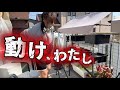 【38.8℃】病気だからって寝てらんない。頑張って冬眠に耐えたメダカ・らんちゅう達を起こします|アクアリウム|飼育
