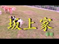 坂上家vsさかがみ家「坂上家のワンコ軍団参戦！」