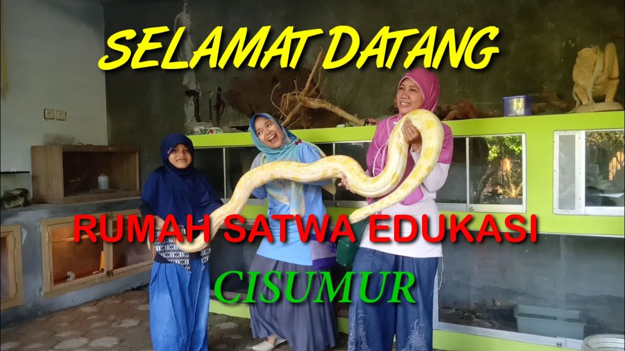 Rumah Satwa Edukasi  Cisumur Part 1 ada Reptil  burung 