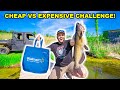 CHEAP vs EXPENSIVE Walmart Fishing CHALLENGE!!! (Catch Clean Cook)