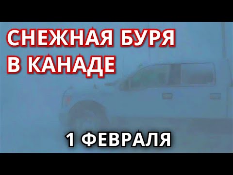 Снег в Канаде 1 февраля! Ужасная снежная буря обрушилась Саскачеван!