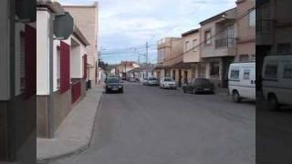 110309 Mejoras en almendricos