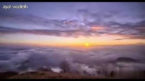 الي كل من ضاق صدره سوره الحشر (اسلام صبحي)