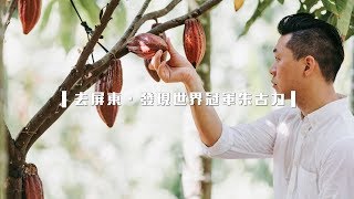 【我屏東我驕傲】 屏東必買伴手禮．發現世界冠軍Tree to bar ...