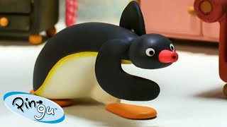 Pingu's Boogaloo 🐧 | Pingu - Official Channel | Cartoons For Kids