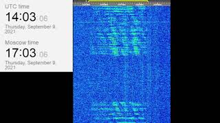 The Buzzer/UVB-76(4625Khz) September 9, 2021 14:01UTC Voice message