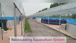 Aquaculture System tank Fish Farming Tank screenshot 4