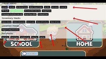 prodigy hack working 2022 AUGUST! Chromebook macbook windows