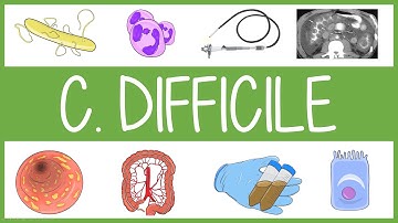 Clostridium Difficile Visually Explained