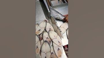 Frozen tenggiri fish cutting skills machine #shorts #fish #youtubeshorts