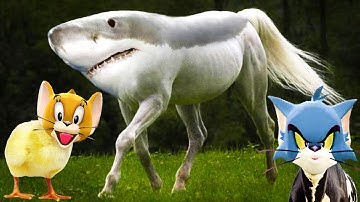 NOOB vs PRO vs HACKER In MERGE ANIMALS 3D !