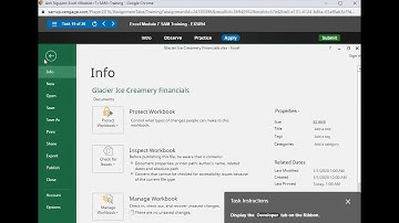 Module 7 Task 19 Training  and Exam Issue with Developer Tab