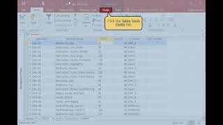 MS Access Chapter 2: Changing Data Type in ms access
