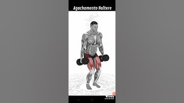 Agachamento Halteres