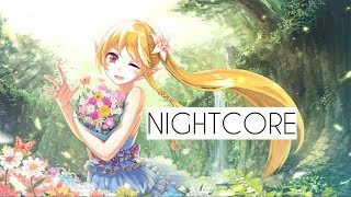 Alsic ft Grant Genske - San Francisco (Extended mix   Nightcore) | Lyrics