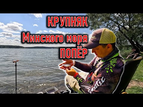 Алексей на Минском Море ; Elegance Accela Feeder