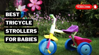 Best Tricycle Strollers for Babies in 2024 | Top Reviews