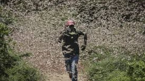 Lesson no: 10"A Mild Attack of Locusts" Lecture: 1