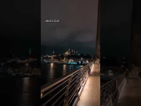 بدي حبك أكتر بعد وائل كفوري اكسبلور حلات Explore Wael Kfoury اغاني موسيقى 