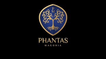 Set up TBC PTR in 5min (Character, addons, settings, macro