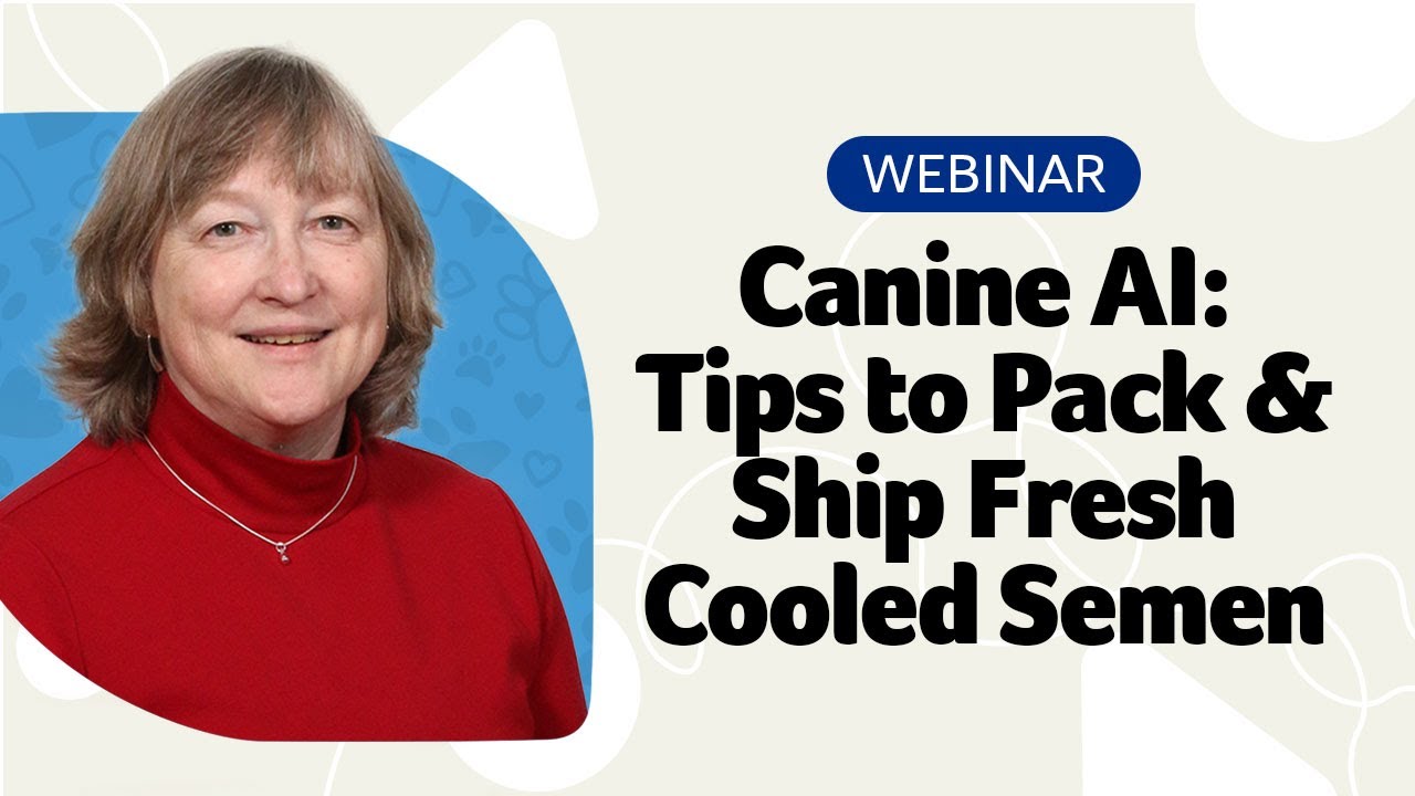 Canine AI: Tips to Pack & Ship Fresh Cooled Semen Webinar
