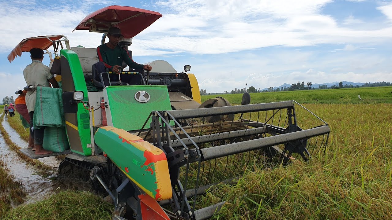 Agriculture Heavy Equipment Kubota DC70 Plus Harvester Rice Cutting