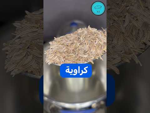 كراوية  نهى صفوت عطا