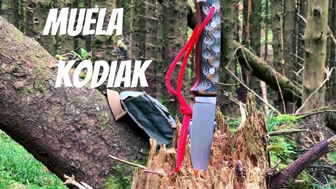 CUCHILLO MUELA KODIAK revisión 2021: ¡Un cuchillo muy elegante! 