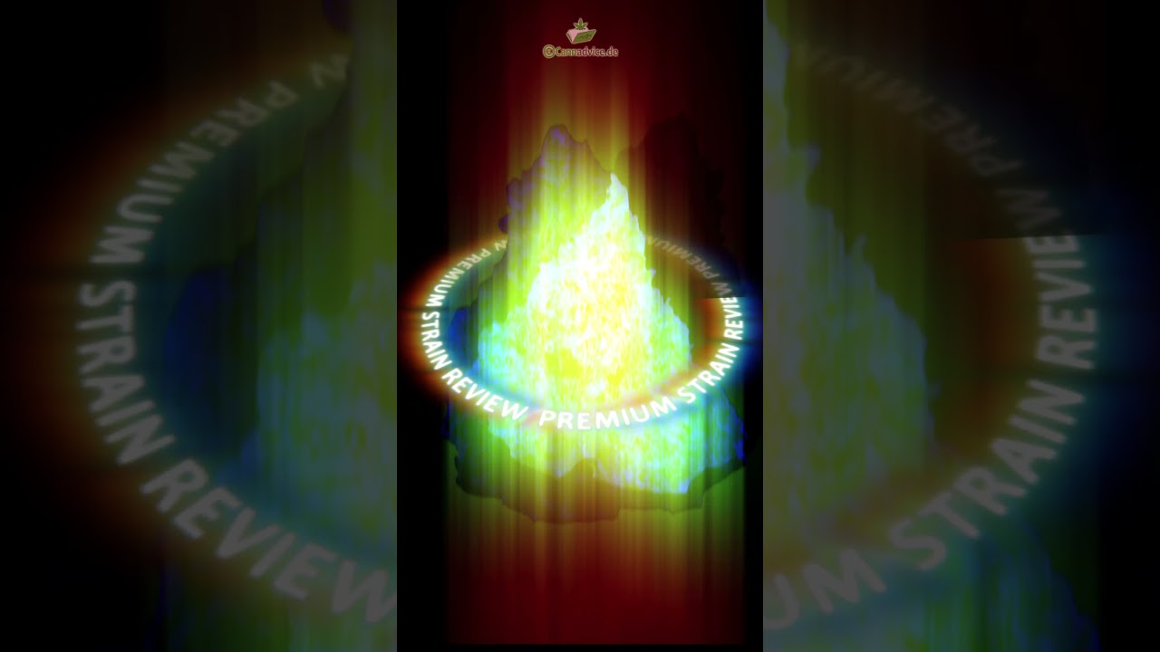 GG#4 Strain Review Teaser IMC 25 T03 Gorilla Glue No. 4