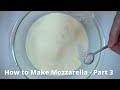 Making Mozzarella | The Science of Cheese Part 3/3