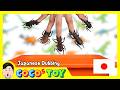 カブトムシ VS メカカブトムシ|カブトムシの名前、カブトムシの種類|CoCosToy