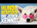 HUNDEBESITZER, DIE JEDER KENNT