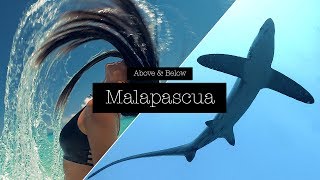 Above & Below Malapascua