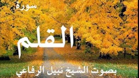 سورة القلم بصوت الشيخ / نبيل الرفاعي 68