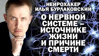 Илья Бурлаковский: откровения нейрохакера о нервной системе -  источнике жизни и смерти / #зауглом