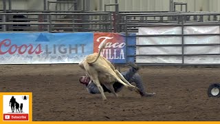 Steer Wrestling - 2023 ABC Pro Rodeo | Saturday Matinee