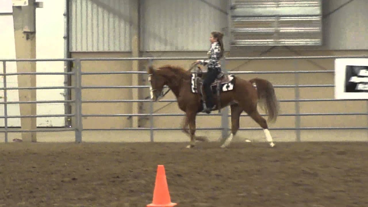 Missouri Fox Trotting Horses at 2013 Kansas Equifest - YouTube
