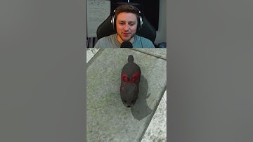 The cutest minion in FFXIV?