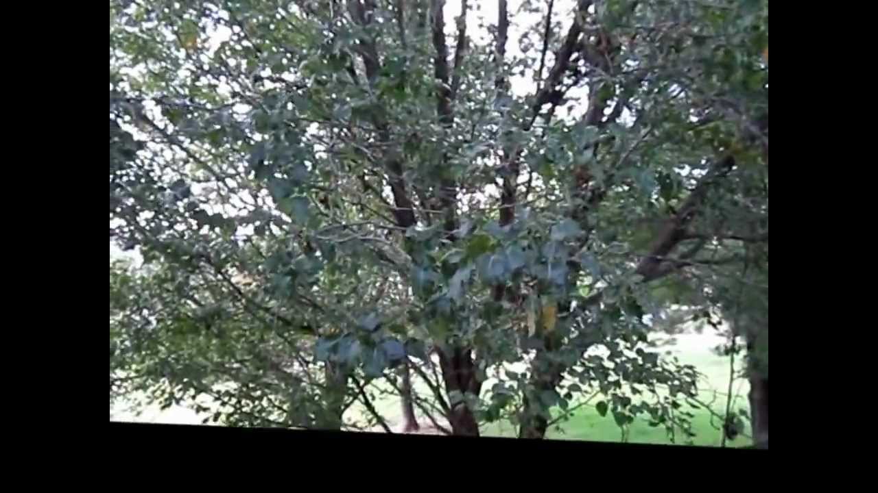 Our Branson condo at the Foothills at Thousand Hills, Branson Missouri