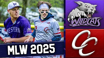 WILDCATS vs. COBRAS | MLW Wiffle Ball 2025