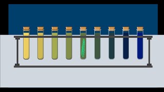 How To Observe Photosynthesis and Respiration Using a pH Indicator