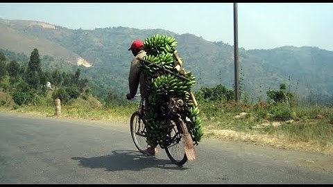 Burundi Cyclists / 200 kg bananas